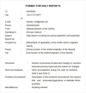 10 Daily Report Templates Word Excel PDF Formats