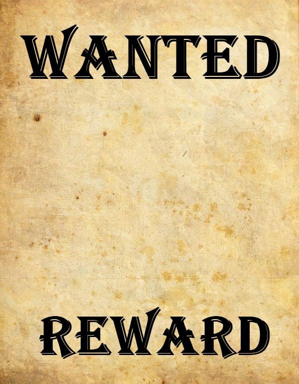 Free Wanted Poster Templates - Word Excel PDF Formats