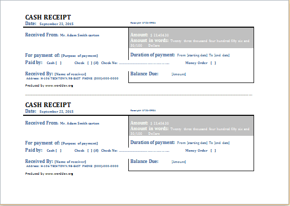 cash receipt template 9