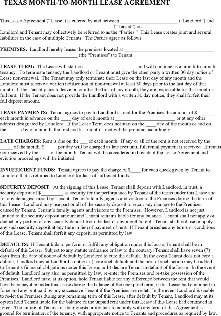 rental agreement template 13