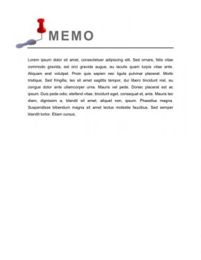 memo template 5641541